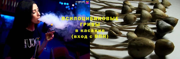 прущие грибы Нефтегорск
