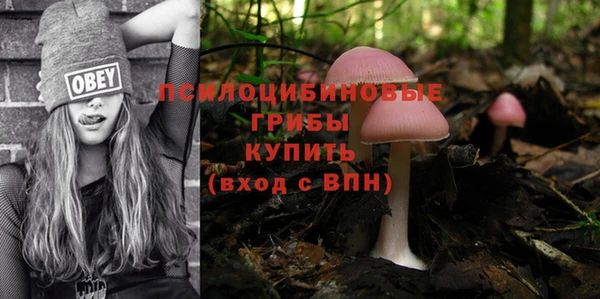 каннабис Новодвинск
