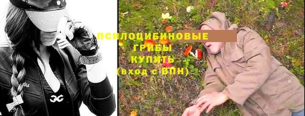 прущие крисы Новозыбков