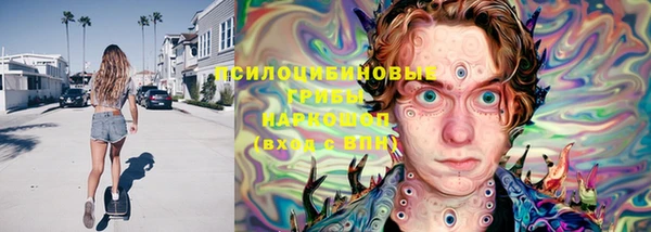 каннабис Новодвинск