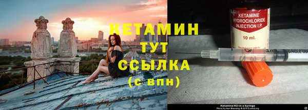 прущие крисы Новозыбков