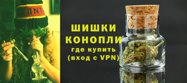 прущие крисы Новозыбков