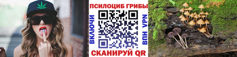 что такое   Тихорецк  Псилоцибиновые грибы Psilocybe 